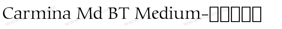 Carmina Md BT Medium字体转换